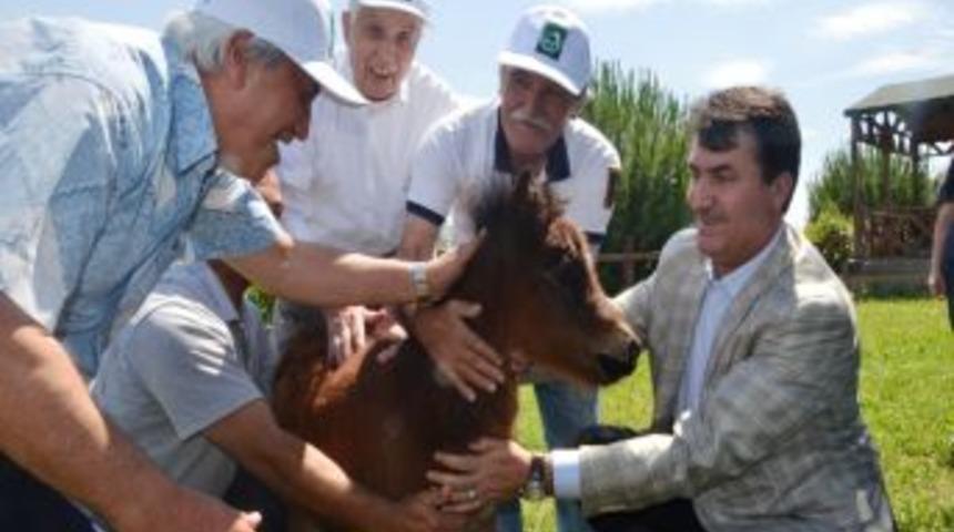 Huzurevi Sakinleri, Hayvan Barınağını Gezdi