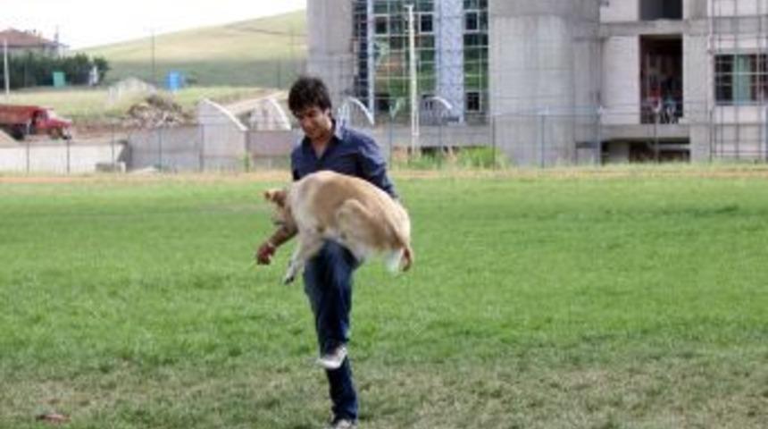 İleri Itaat Eğitimini Tamamlayan K&ouml;peklere Sertifika Verildi