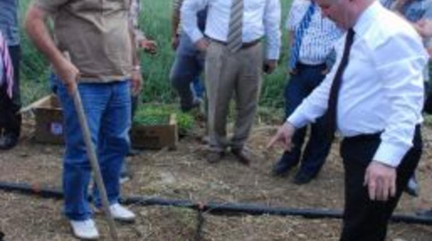 Gaziosmanpaşa &Uuml;niversitesi&rsquo;nde Hobi Bah&ccedil;eleri