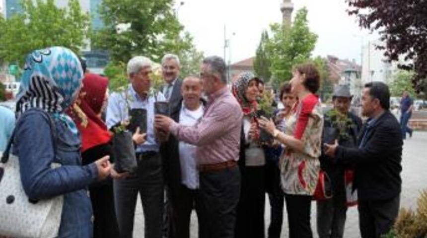 Bolu&rsquo;da &Ccedil;evre G&uuml;n&uuml;&rsquo;nde G&uuml;lfidanı Dağıttılar