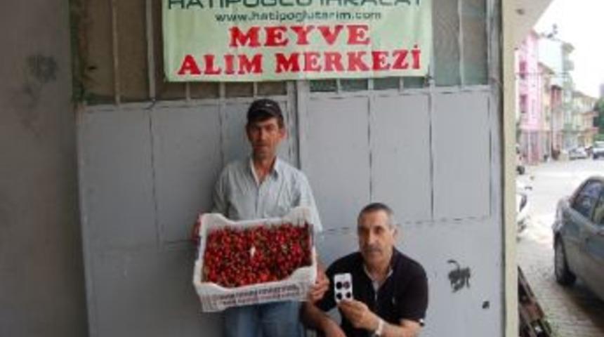 İhracatta Kiraz Rekor Fiyata Ulaştı