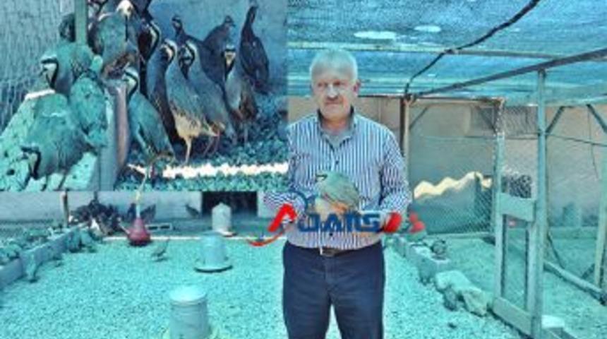 İlk &ouml;zel keklik &uuml;retme &ccedil;iftliği