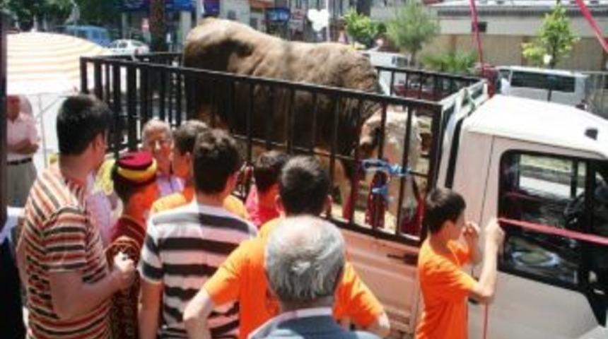 Nasip Tosun Kermesin İlgi Odağı Oldu