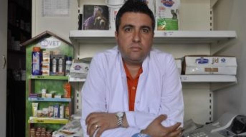 Hayvan Severlere Sıcak Hava Uyarısı