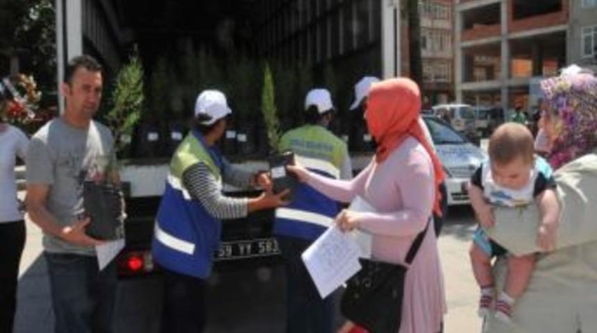 &Ccedil;orlu Belediyesi`nden 2 Bin &Ccedil;am Fidanı