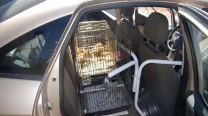 Uyuşturucuya, 'Ben 10'li Kamuflaj