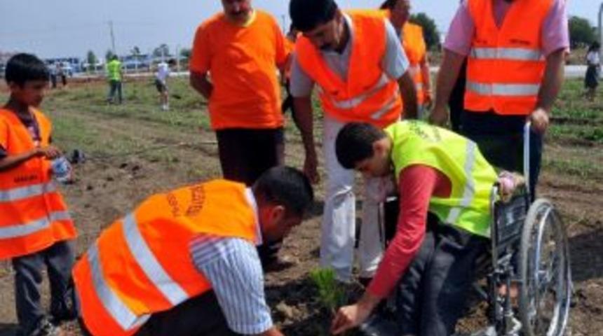 Akdeniz Belediyesi &Ccedil;alışanlarından Hatıra Ormanı