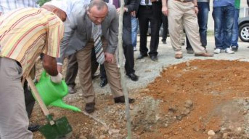 KT&Uuml;'l&uuml; &Ouml;ğrenciler &Ccedil;evre Kirliliğine Dikkat &Ccedil;ekmek I&ccedil;in Fidan Dikti