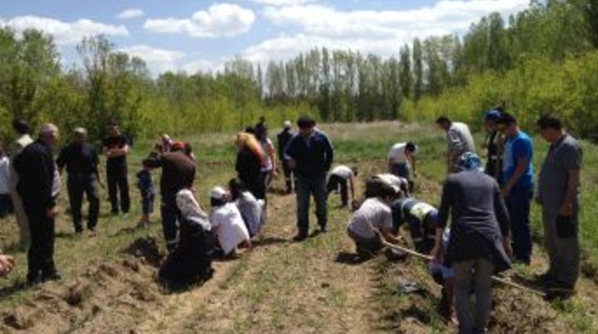 &Ccedil;evre G&uuml;n&uuml; Nedeniyle Sarı&ccedil;am Fidanı Diktiler