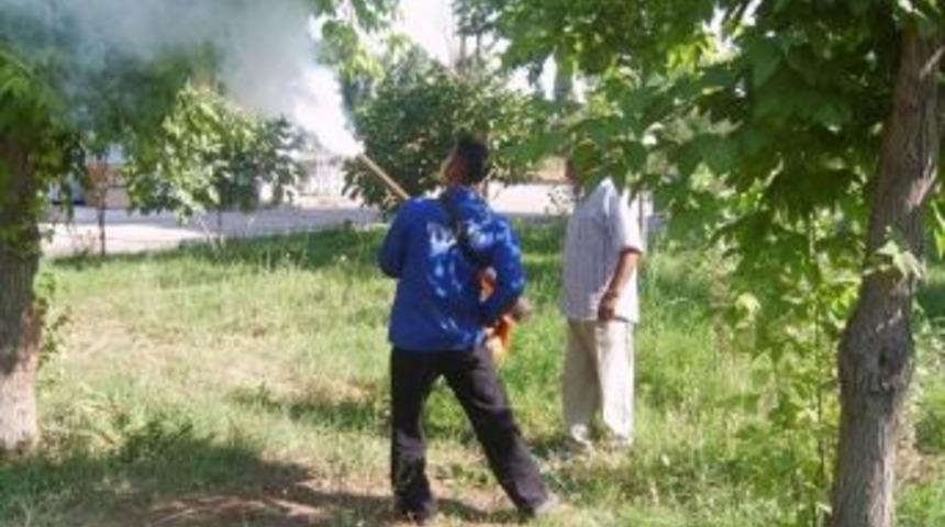 Batman'da İla&ccedil;lama &Ccedil;alışmaları Devam Ediyor