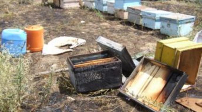 360 Kovan Arı Yangında Telef Oldu