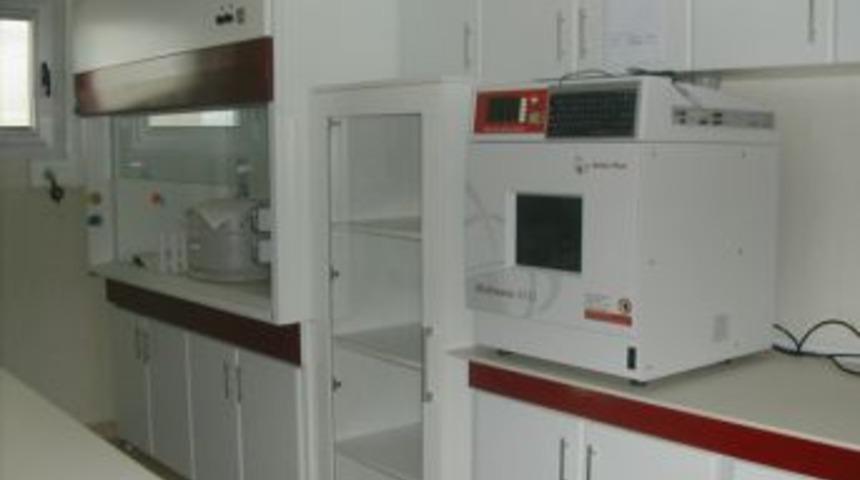 Orman Zararlıları Yakın Takibe Alınıyor