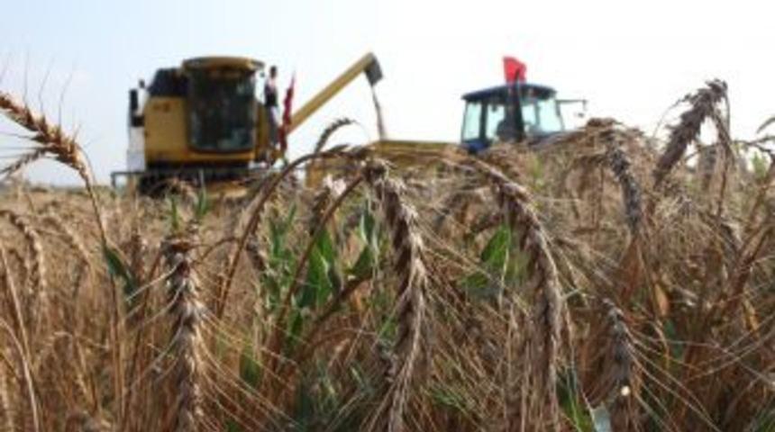 Ziraat Fak&uuml;ltesi&rsquo;ndeki Buğday Hasadı Bayram Havasında Ge&ccedil;ti