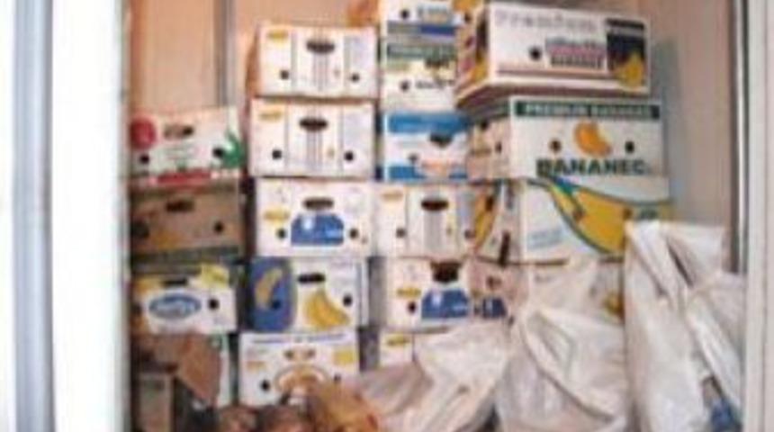 Muz kolilerinde sazan &ccedil;ıktı