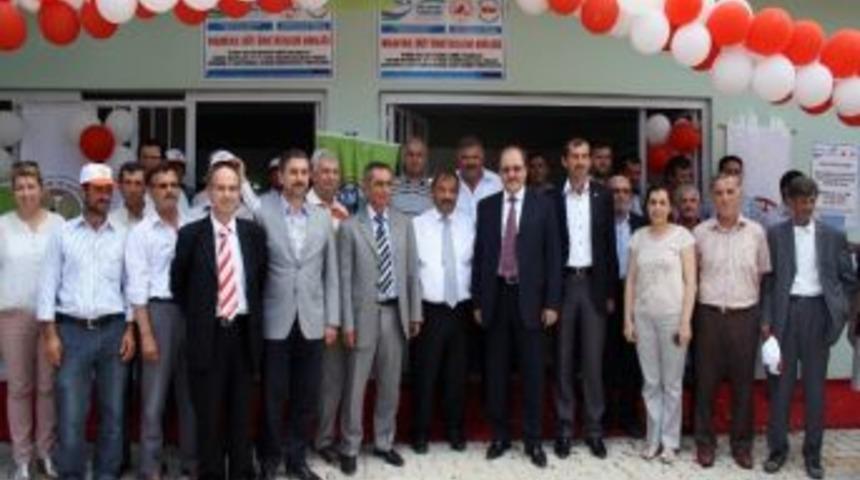 Manyas'ın Dağ K&ouml;ylerinde S&uuml;t Kalitesi Arttırılacak