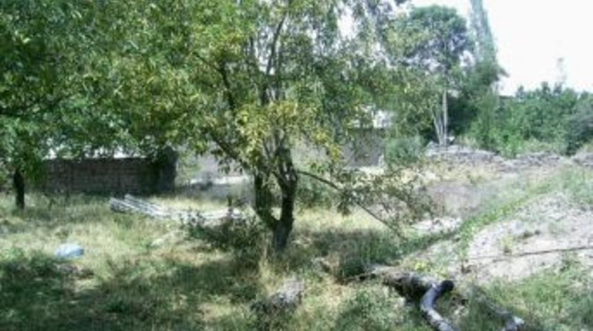 Kars Kağızman'da meyve ağa&ccedil;ları kurudu