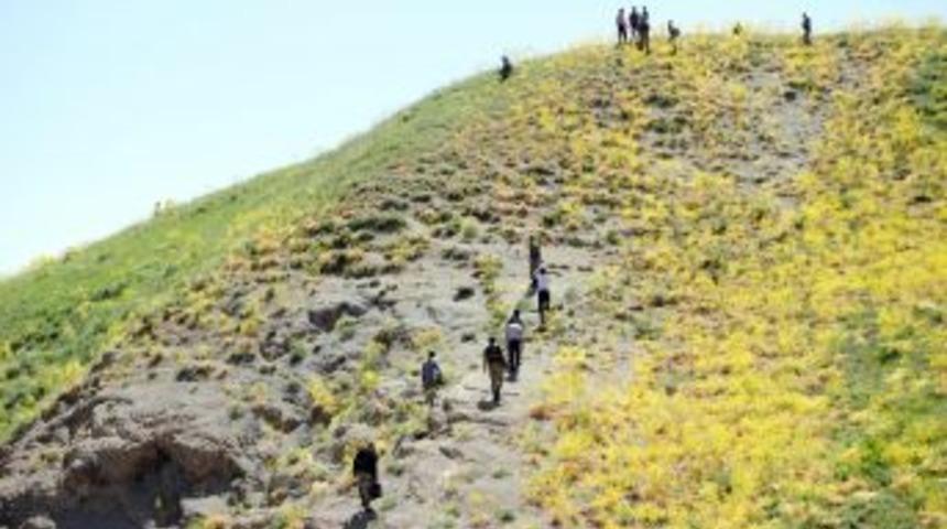 Y&uuml;ksekova'da Mayın D&ouml;şeyen Ter&ouml;ristlerle &Ccedil;atışma: 1 Asker Şehit