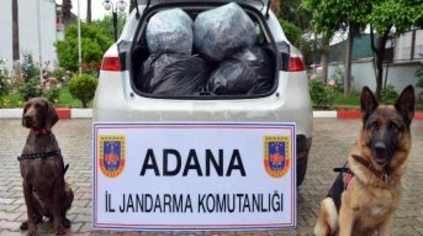 Adana'da 71 Kilo Kubar Esrar Ele Ge&ccedil;irildi