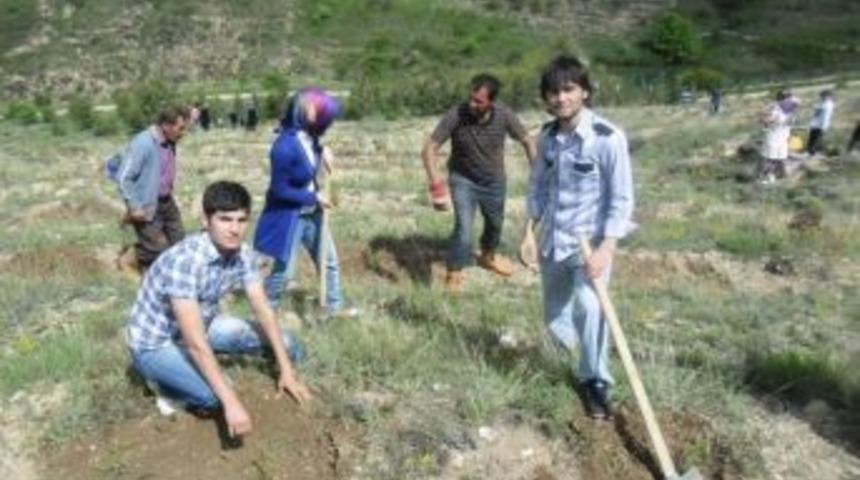 Geleceğin &Ouml;ğretmenleri Ağa&ccedil; Dikti