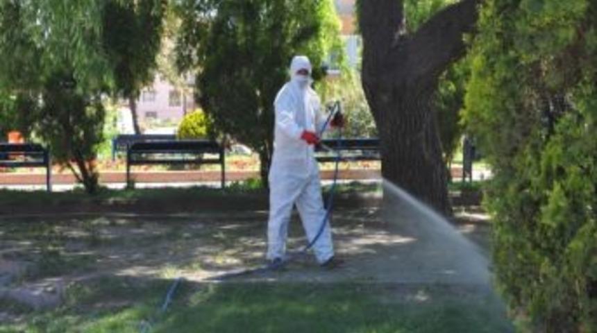 Boz&uuml;y&uuml;k&rsquo;te Kene Ve Haşere M&uuml;cadelesi