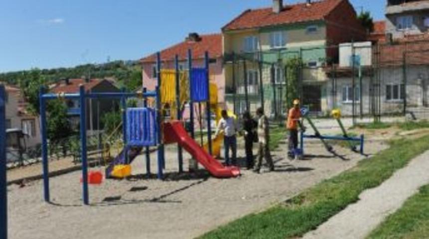 Parklara Yaz Bakımı