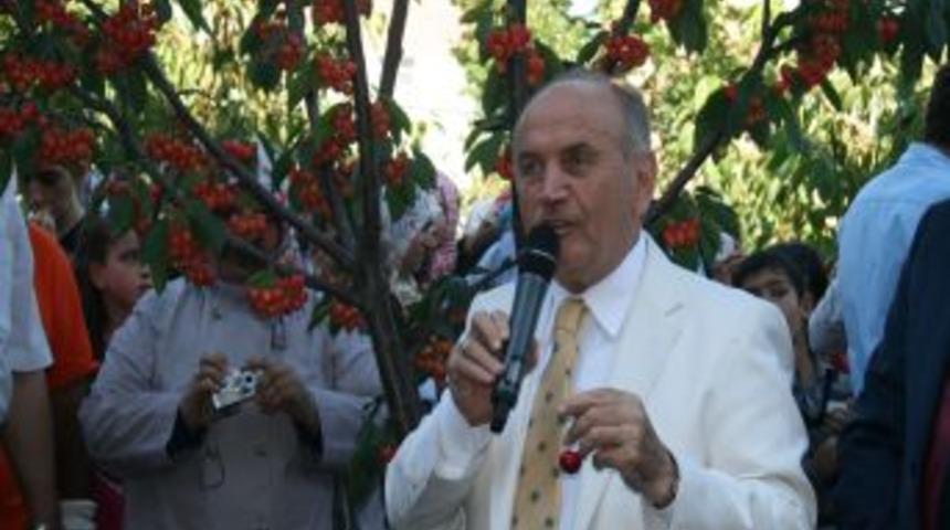 Bağcılar'da 'Kiraz Bah&ccedil;esi Şenliği'