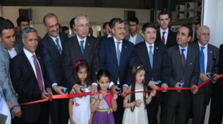 Bakan Eroğlu: Yıl Sonuna Kadar 2 Milyar Fidanı Toprakla Buluşturacağız