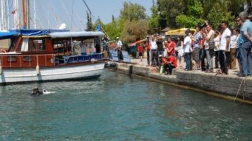 Fethiye&rsquo;de Denizden &Ccedil;anak Anten Bile &Ccedil;ıktı