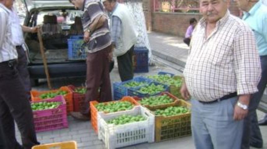 Yaklaşan İncir Sezonu &Ouml;ncesi İlek Pazarı Canlandı