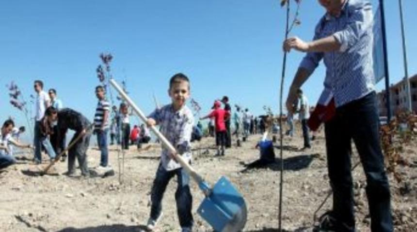 Eskişehir B&uuml;y&uuml;kşehir Belediyesi Harb-iş Sendikasıyla Ağa&ccedil; Dikti