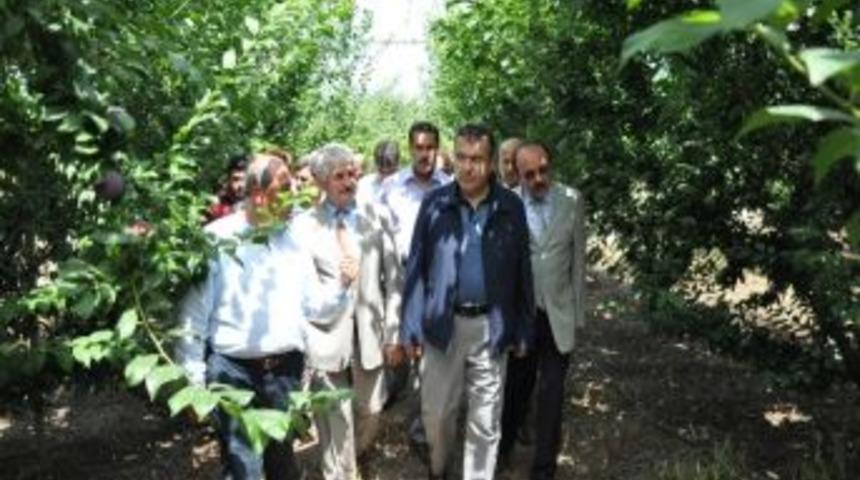 Lekesiz'den 'tarım' Vurgusu