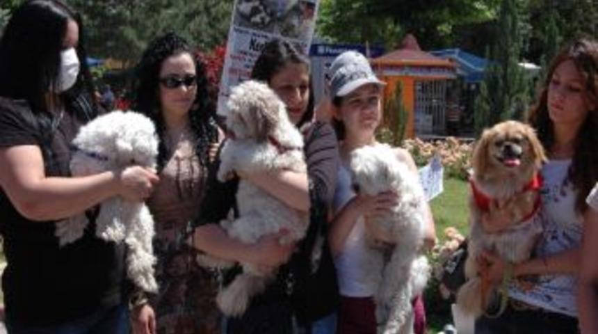 Malatya&rsquo;da Hayvan Hakları Eylemi