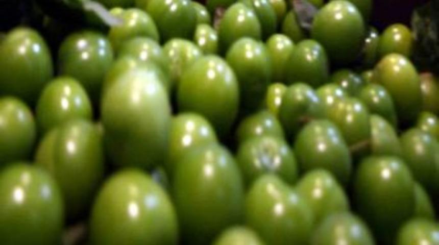 Şeftali Bu Yaz Ucuza T&uuml;ketilecek