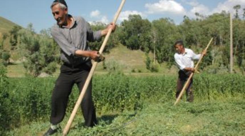 Muşlu &Ccedil;ift&ccedil;iler Ot Hasadına Erken Başladı