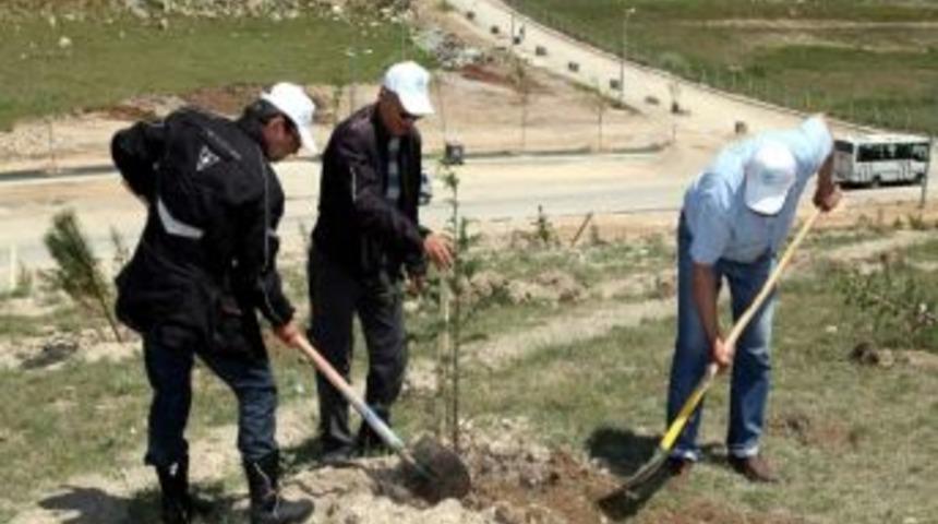 Eskişehir Motosiklet&ccedil;iler Ağa&ccedil;landırma Alanı Odunpazarı&rsquo;nda A&ccedil;ıldı