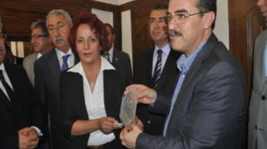 Ergin: Ter&ouml;re Harcanan Kaynak Ekonomiye Aktarıldığında T&uuml;rkiye'yi Kimse Tutamaz