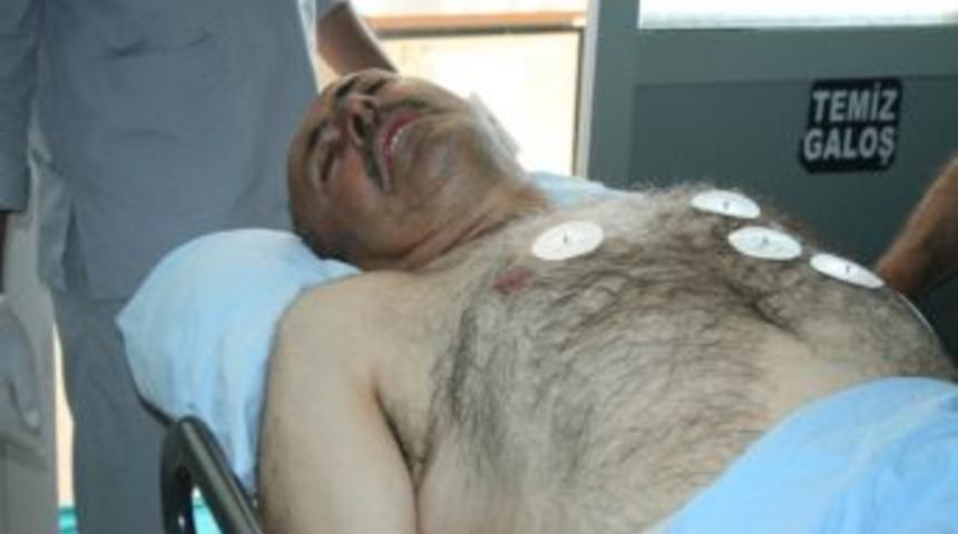 Tunceli'de Ayı Dehşeti