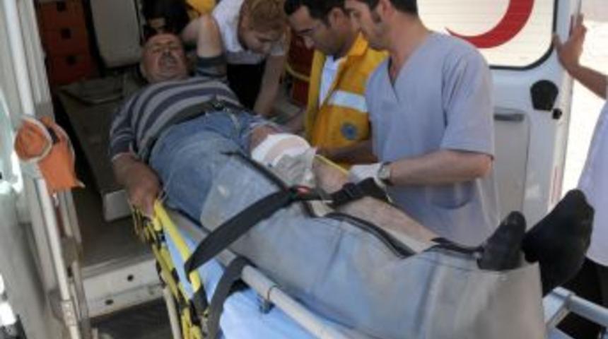 Piknikte ayı dehşeti!