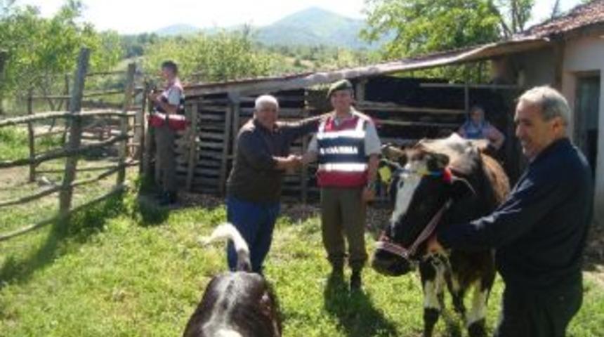 Duvarı Delerek Hayvanları &Ccedil;alan Hırsızları Bıraktıkları Lastik İzi Yakalattı