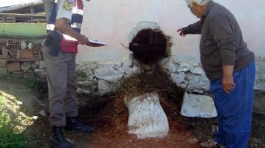 Ahırın Duvarını Delen Hırsızlar Inek &Ccedil;aldı