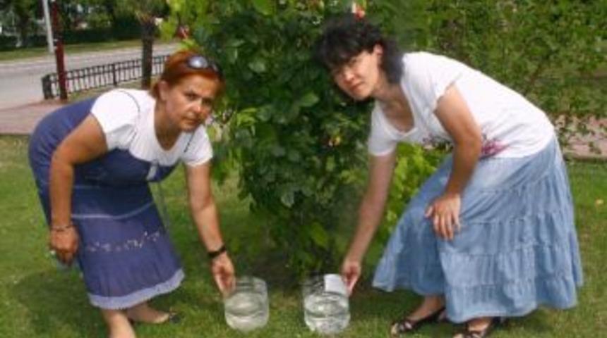 Sokak Hayvanları İ&ccedil;in "bir Kap Su Sen De Koy" Kampanyası