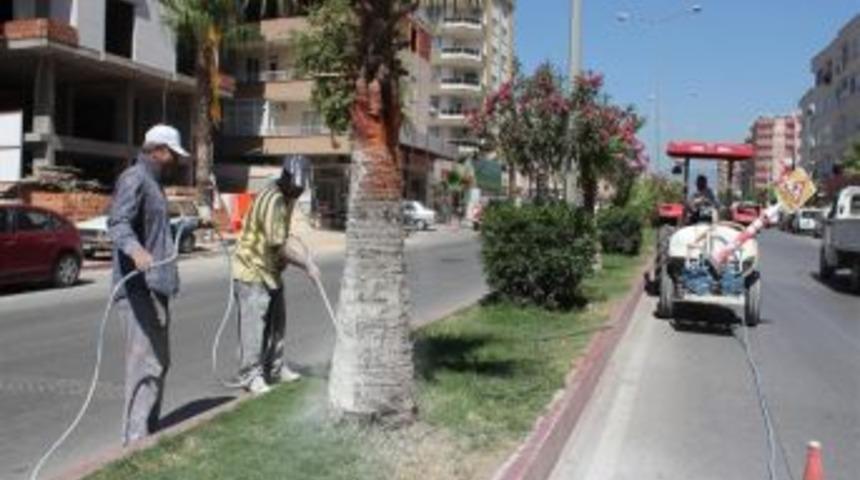 Belediye Ağa&ccedil;ları Haşerelere Karşı Kire&ccedil;liyor