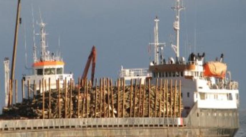 Doğu Karadeniz&rsquo;de Tarım İhracatı