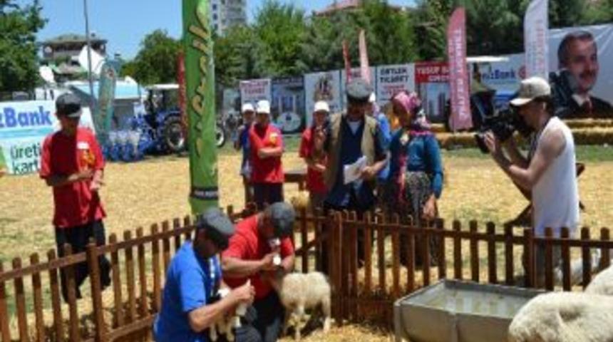 Trt Anadolu&rsquo;dan Trakt&ouml;r Kazandı