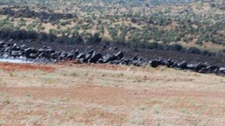 Kerkük boru hattında patlama