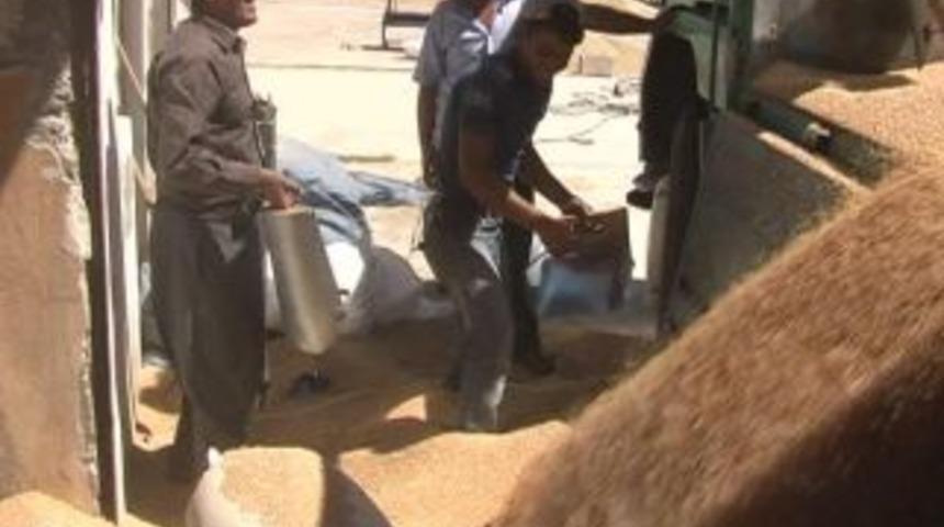 ‘Nohut 6 lirayı bulacak’