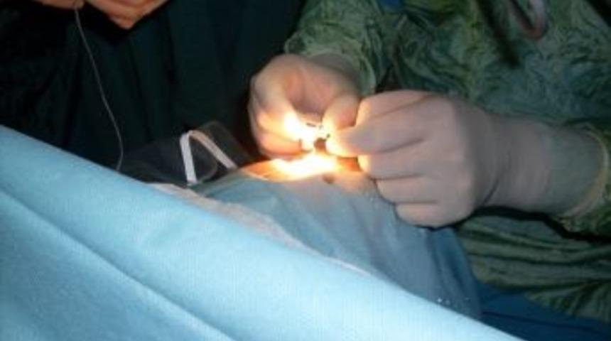 Hayata G&uuml;len G&ouml;zlerle Bakıyor