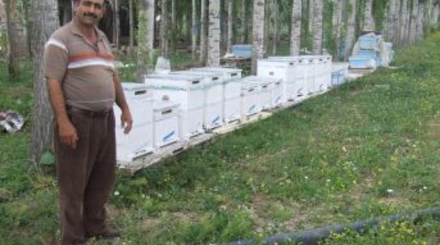 Yozgatlı &Ccedil;ift&ccedil;iler Bal &Uuml;retimine Y&ouml;neldi