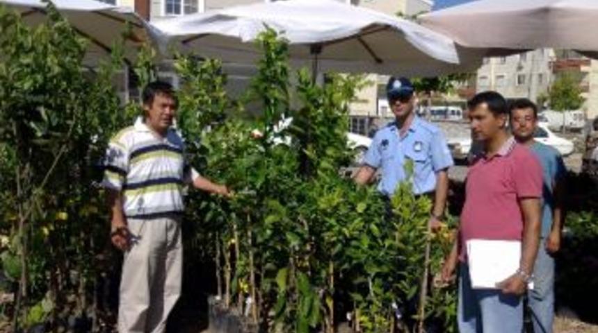 Didim&rsquo;de Bitkilere Kimlik Kontrol&uuml;