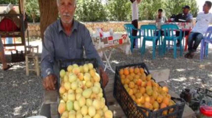 Talep Artınca K&ouml;yl&uuml; &Uuml;r&uuml;n&uuml;n&uuml; Pazarda Değil Yol Kenarında Satmaya Başladı
